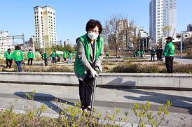 새마을회 무궁화 나무심기