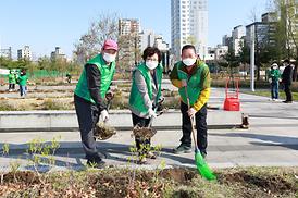 새마을회 무궁화 나무심기