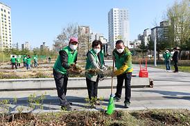 새마을회 무궁화 나무심기