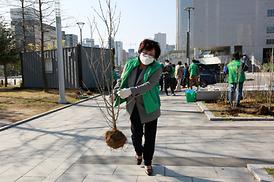 새마을회 무궁화 나무심기