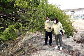 도시건설위원회 현장 확인