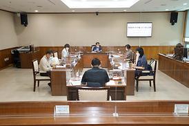 체육행정의 현황 분석 및 효과적 운영 방안 연구 용역