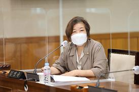 체육행정의 현황 분석 및 효과적 운영 방안 연구 용역