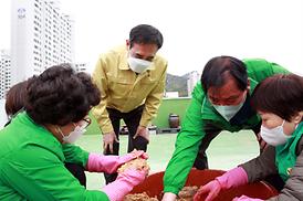 새마을 된장 담그기