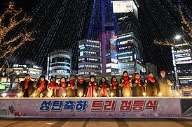 성탄축하 트리 점등식