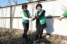 봄맞이 새마을 대청소