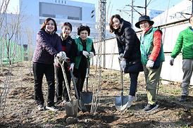 봄맞이 새마을 대청소