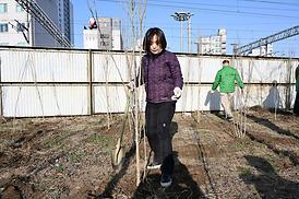 봄맞이 새마을 대청소