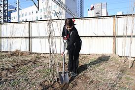봄맞이 새마을 대청소