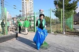 봄맞이 새마을 대청소