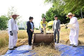 청보리길 걸어보기 행사