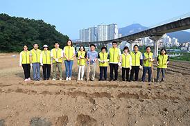 해바라기 파종 심기 행사