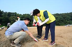 해바라기 파종 심기 행사