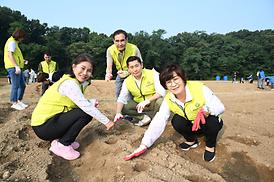 해바라기 파종 심기 행사