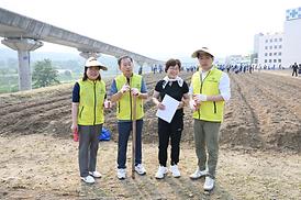 해바라기 파종 심기 행사