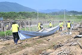 괴산군 수해복구 지원