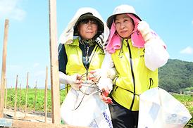 괴산군 수해복구 지원