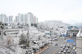 폭설에 따른 의정부시의회 전경