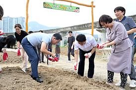 신곡새빛정원 해바라기 파종 행사