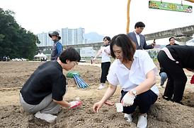 신곡새빛정원 해바라기 파종 행사