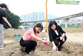 신곡새빛정원 해바라기 파종 행사