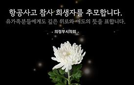 의정부시의회 항공사고 합동분향소 조문(의정부 역전근린공원)
