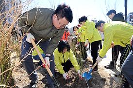 제80회 식목일 기념 봄철 나무심기 행사(산곡동 177-6)