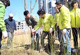 제80회 식목일 기념 봄철 나무심기 행사(산곡동 177-6)