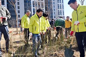 제80회 식목일 기념 봄철 나무심기 행사(산곡동 177-6)
