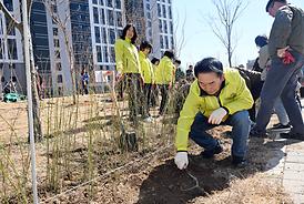 제80회 식목일 기념 봄철 나무심기 행사(산곡동 177-6)
