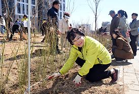 제80회 식목일 기념 봄철 나무심기 행사(산곡동 177-6)
