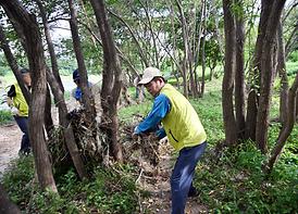 의정부시의회, 중랑천 등 집중호우 피해 복구 동참